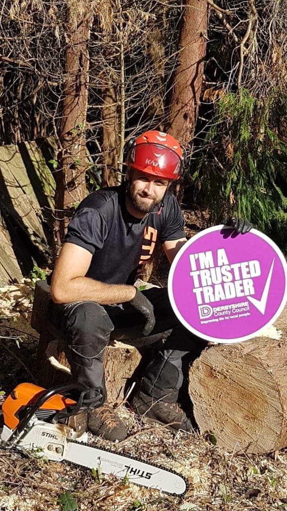 Tree Hugger arborist with a chainsaw ready to start a job
