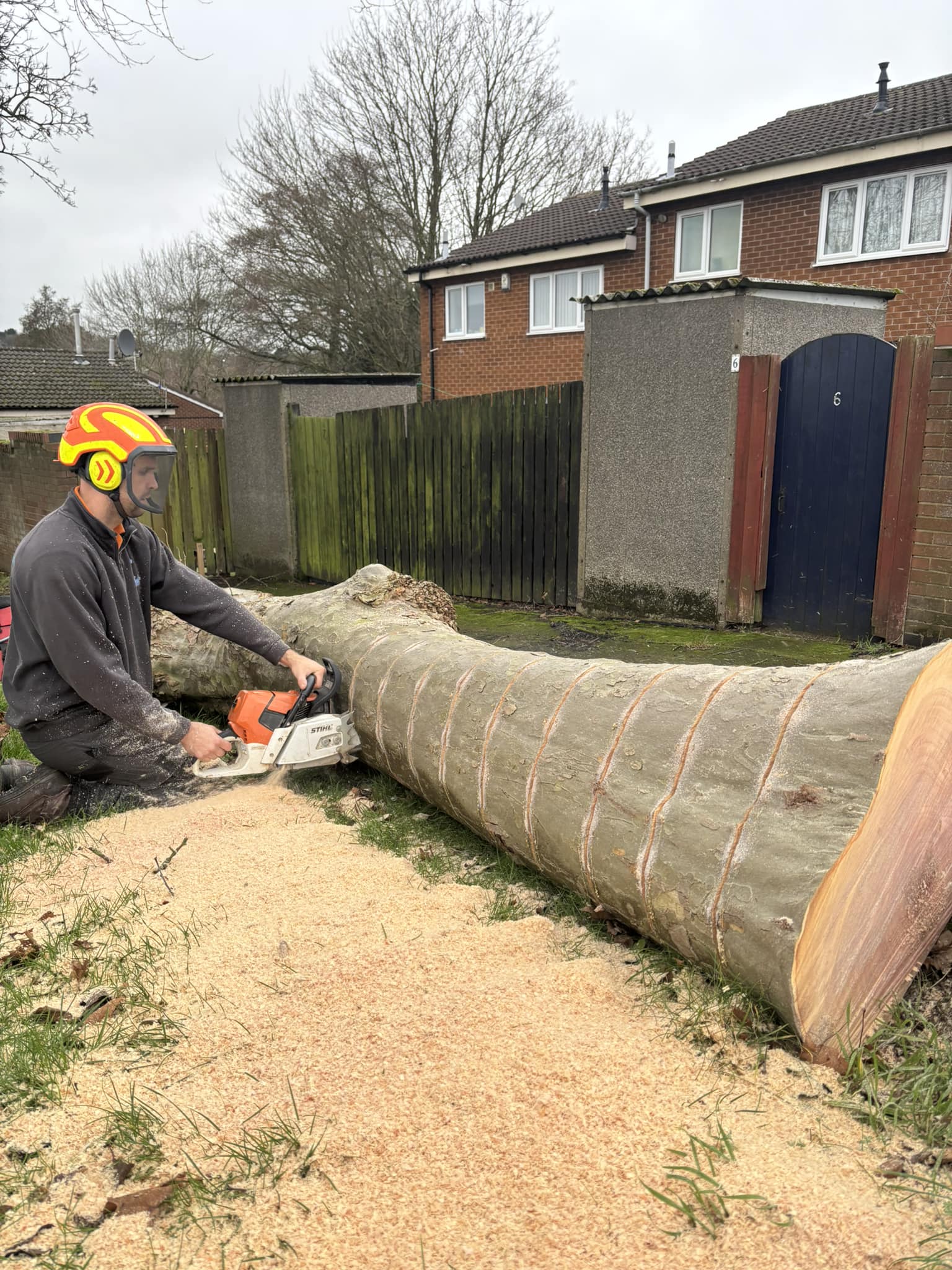 Groundsman cutting a large felled tree trunk into sections in a back garden