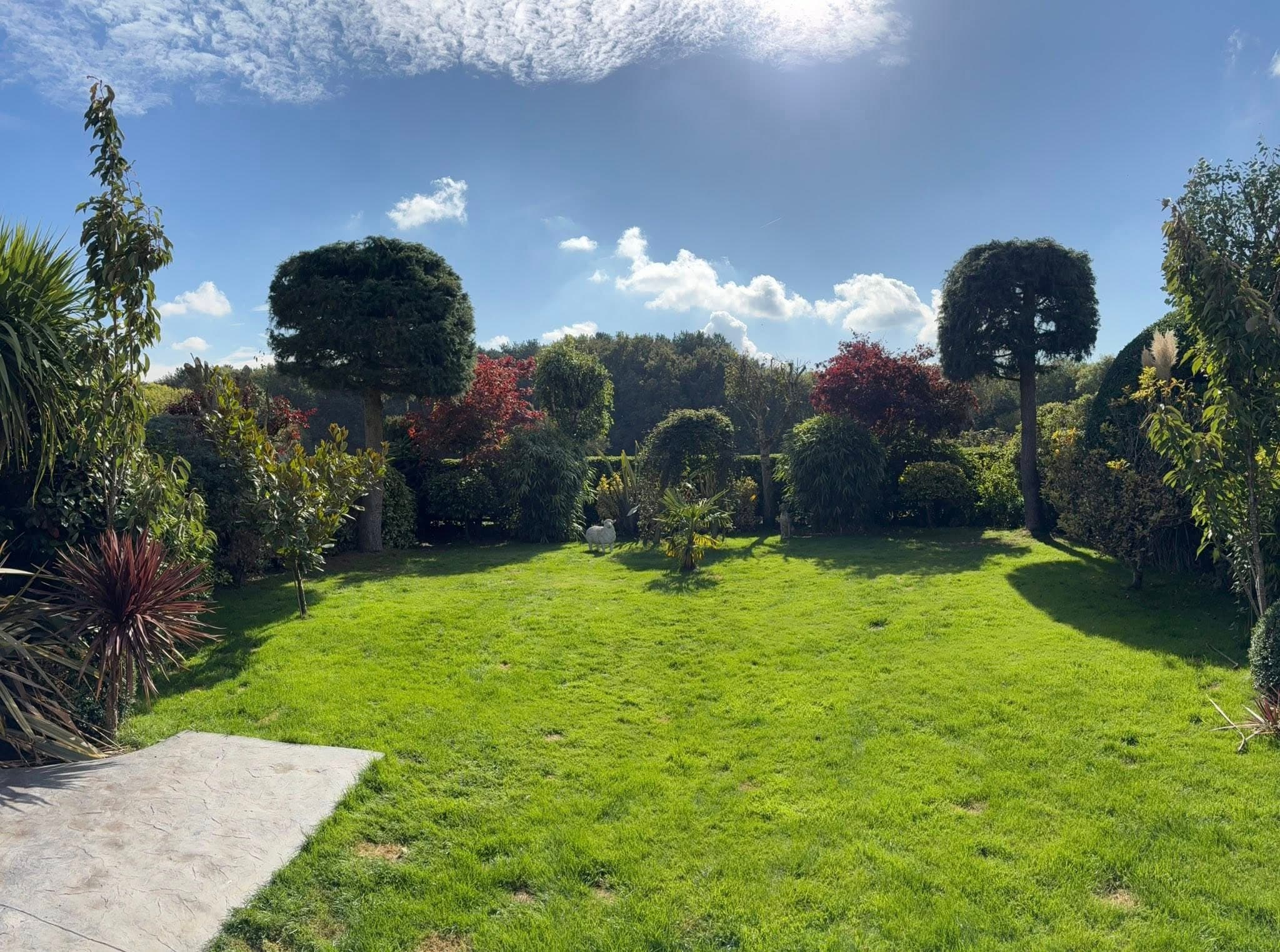 Neatly maintained garden with shaped ornamental trees and hedges