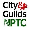 City & Guilds and NPTC qualified arborists